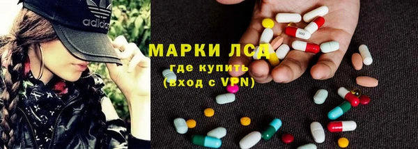 прущие грибы Покровск