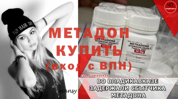 прущие грибы Покровск