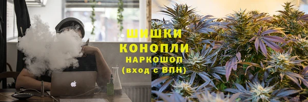 spice Гвардейск