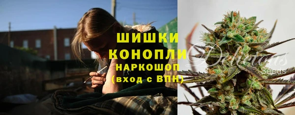 прущие грибы Покровск