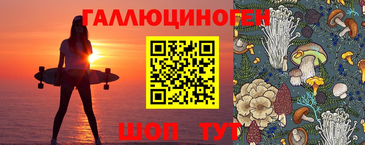 Псилоцибиновые грибы Magic Shrooms  Братск 