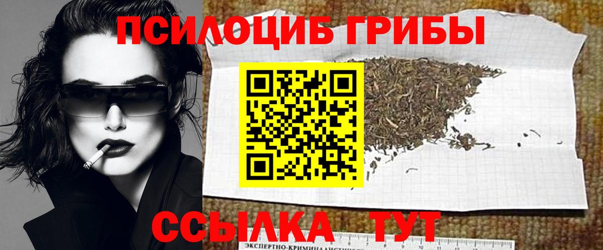 Галлюциногенные грибы MAGIC MUSHROOMS  Галлюциногенные грибы мицелий  наркотики  Вход с VPN  Братск 