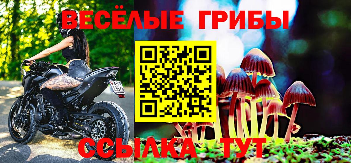 Галлюциногенные грибы Cubensis Братск