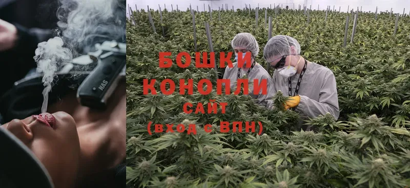 Канабис White Widow  shop телеграм  Братск  даркнет сайт 